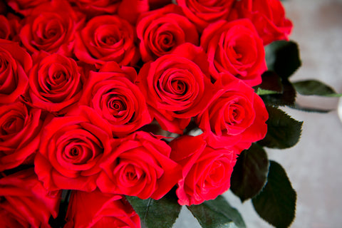The Meaning, Symbolism and History of Red Roses