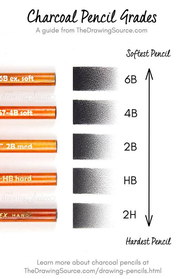 A chart of charcoal pencil grades from softest to hardest pencil. Five Generals charcoal pencils with five small gradations drawn showing the grades of charcoal pencils and their value ranges